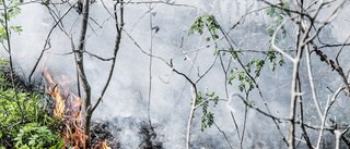 Tolv hektar brinner i naturreservat i Haninge