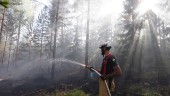 Polisen misstänker: Skogsbranden i Hugelsta är anlagd