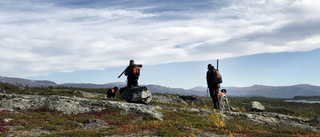 Hundar är hyresvaror till utländska jägare 