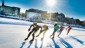 Drömmen: Locka svensk superstjärna till isbanan i Luleå • Affärsutvecklaren: "De lade sig ner och kysste isen"