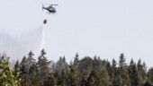 Räddningstjänsten: Stor risk för skogsbränder i sommar