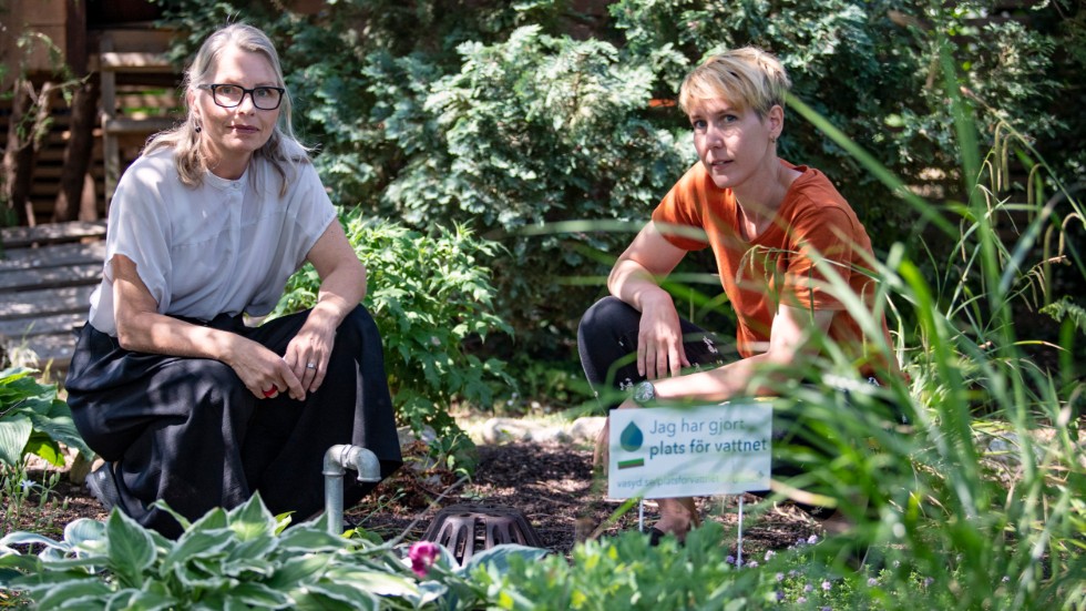 Kommunikatör Nina Steiner (till vänster) och dagvattenexpert Kristina Hall vid en beväxt stenkista i en trädgård. "Att ha det lite mer grönt på tomten är ett enkelt sätt ta hand om mer vatten, som också gynnar den biologiska mångfalden", säger Kristina.