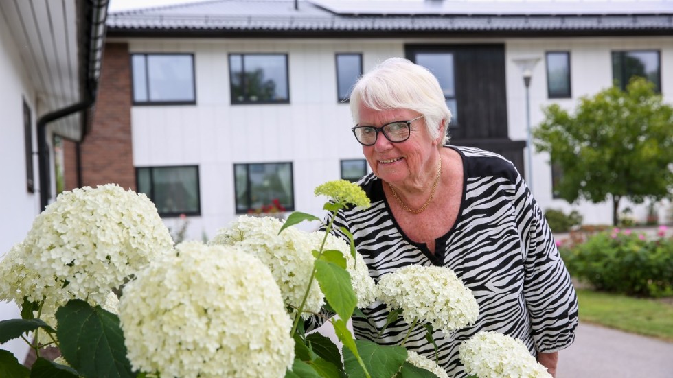 Anne-Louise Aspanius är ordförande för PRO Östergötland. Och dagens debattör i Folkbladet. 