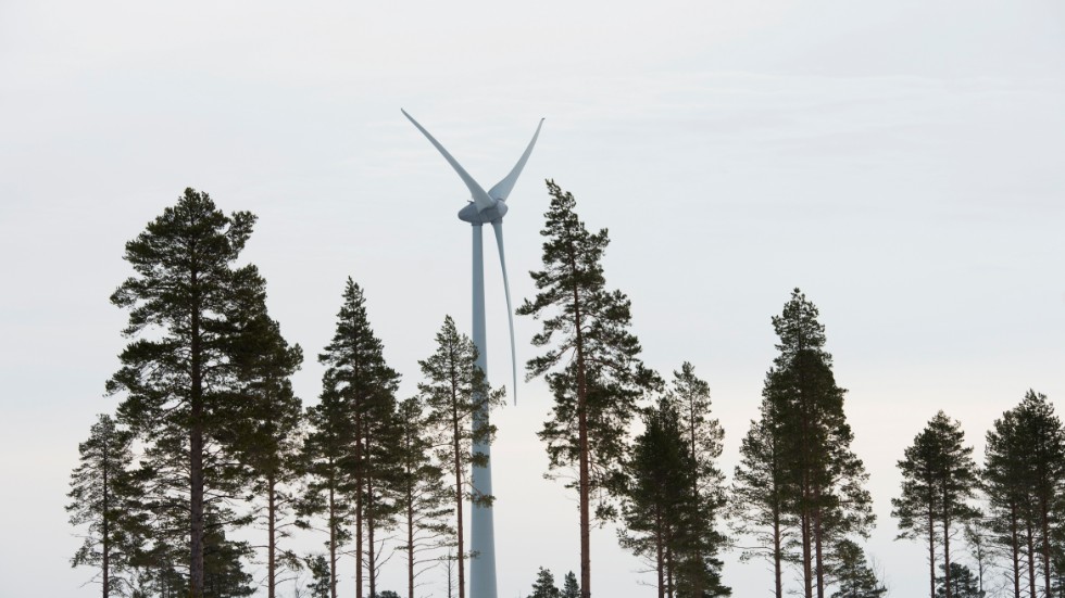 Förutsättningar för en vindkraftsindustri i Kolmården och i det aktuella området finns inte oavsett hur man än vrider och vänder på detta projekt, skriver representanter för Stubbetorps vattenförening. Bilden är en genrebild.