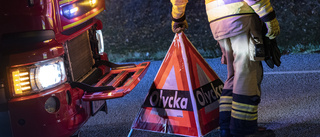 Viltolycka orsakade stopp på E22 söder om Valdemarsvik