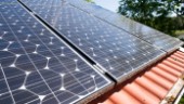 Ökat intresse för solceller på taket i Norrbotten