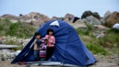 Tyskland tar emot barn från grekiska läger
