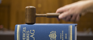 Två domare döms för tjänstefel
