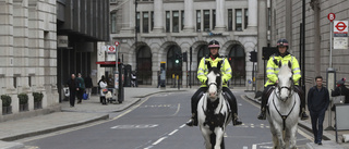 Hosta på brittisk polis kan kosta två år