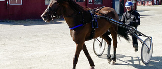 Holter Oda klar för ny stor final