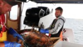 Yrkesfiskarna: "De undrar nog varför vi inte ger oss"