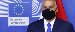 Orbán kräver att EU-kommissionär avgår