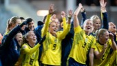 Herrar får 100 miljoner för EM – damerna noll