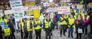 Därför engagerade jag mig i skolfrågan