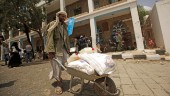 Sverige: Mer FN-bistånd till Jemen – men ej nog