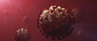 Fyra nya fall av muterat virus i Sverige