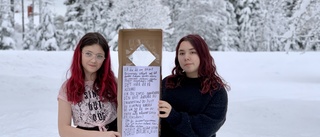 Elvaåringarna som ägnade jullovet åt klimatet