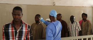 Flera döda i ebolautbrott i Guinea