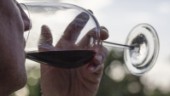Ny studie: Rödvin ger lägre blodsocker