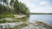 Nynäs naturreservat ombildat – och överklagat