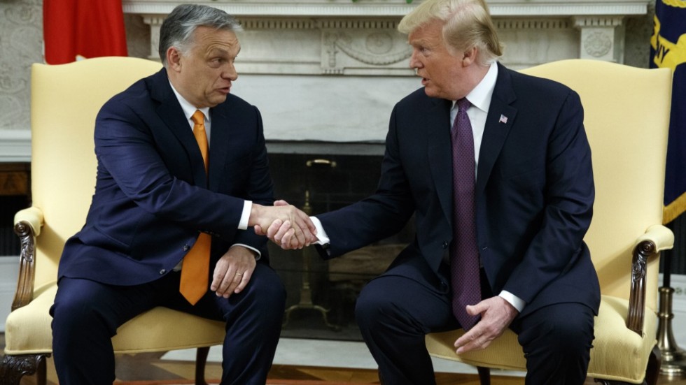 Sådana som SD hejar på. Viktor Orbán som kommit långt med att göra Ungern till envälde, och Donald Trump som beter sig som om USA borde bli detta de kommande fyra åren. 