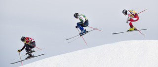 Svensk skicrossuccé i Arosa