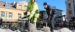 Linköpingsborna njuter av våren: "Bästa tiden på året"