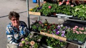 "Vårdveteran" tog steget – öppnar blommande butik