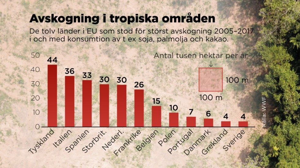 De tolv länder i EU som stod för störst avskogning 2005–2017 i och med konsumtion av t ex soja, palmolja och kakao.