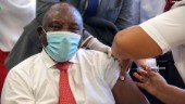 Brant ökning av virusfall i Sydafrika