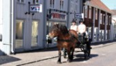 Med häst och vagn över Vimmerbys kullerstenar: "Folk blir glada när de ser oss komma"