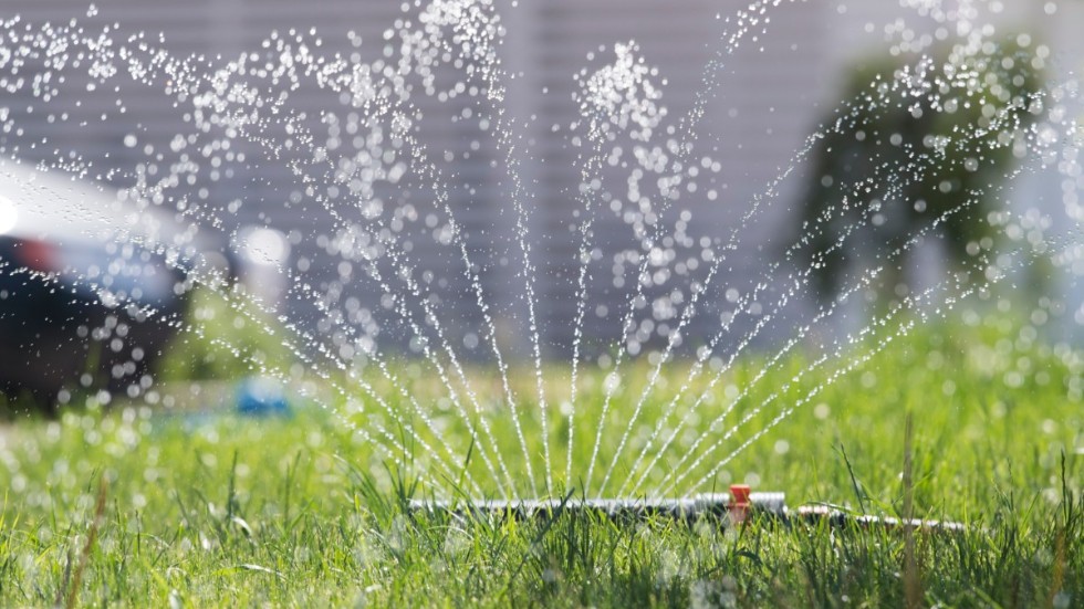 Allt fler kommuner inför bevattningsförbud. Landets vattenverk jobbar för högtryck när folk vattnar gräset och fyller pooler i sommarhettan. Arkivbild.