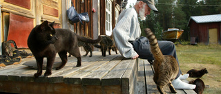 Enar Brännberg ville leva sitt eget liv • Bodde tillsammans med 40 katter