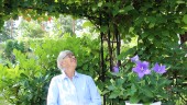 Birgittas trädgård skänker glädje och harmoni