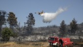 Brandmän bekämpar skogsbrand nära Aten