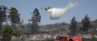 Brandmän bekämpar skogsbrand nära Aten