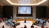 Turkiets Cypernplan fördöms av säkerhetsrådet