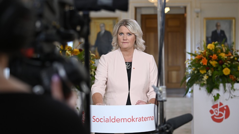 Välfärd. När Socialdemokraternas partisekreterare Lena Rådström Baastad höll Almedalstal var vinster i välfärden en av huvudfrågorna.