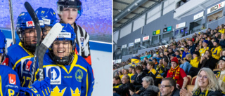 Kvalmatcherna ingen vinstaffär: "Det är för att bygga intresset för damhockeyn som vi gör det här"