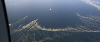 Stor algblomning i Östersjön: "Stor risk att det tagit sig in mot fastlandet" • Så bör du agera