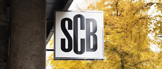 SCB: Ekonomin tappade fart i november