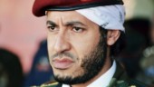 Gaddafis son släppt ur fängelset