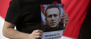 Kändisupprop: Ge Navalnyj rätt vård