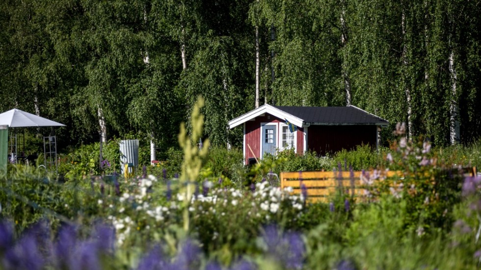 I Sverige finns det cirka 50|000 lotter om man inkluderar både lotter med och utan stuga.