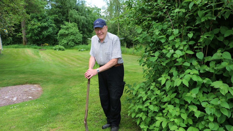 Varje kväll, om det inte ösregnar, tar Bert Åberg sin betrodda gamla spade och går på jakt i trädgården. "Jag vill freda mitt trädgårdsland" säger han.