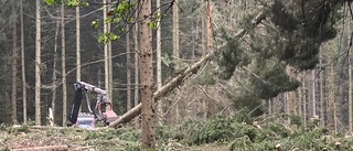 Avverkning i Janstorpsskogen är inte vandalisering
