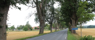 Ett stort antal träd ska fällas i Edsbruk: "Väldigt ledsamt att se att träden inte mår bra" • Så påverkas trafiken