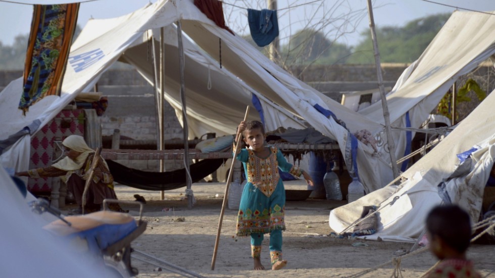 En flicka vid tältläger i Jaffarabad, Pakistan, där översvämningarna fått enorma konsekvenser och krävt minst 1|700 människoliv. Arkivbild.