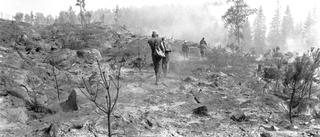 Ur arkivet: Den stora skogsbranden i Yxnerum · Spred sig 100 hektar på två timmar 