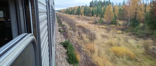 Nattåget har fastnat i uppförsbacke norr om Umeå: "Måste backa och ta ny sats" • Tre timmars försening